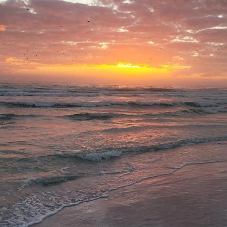 Siesta Key Condo - On The Water ! ภายนอก รูปภาพ