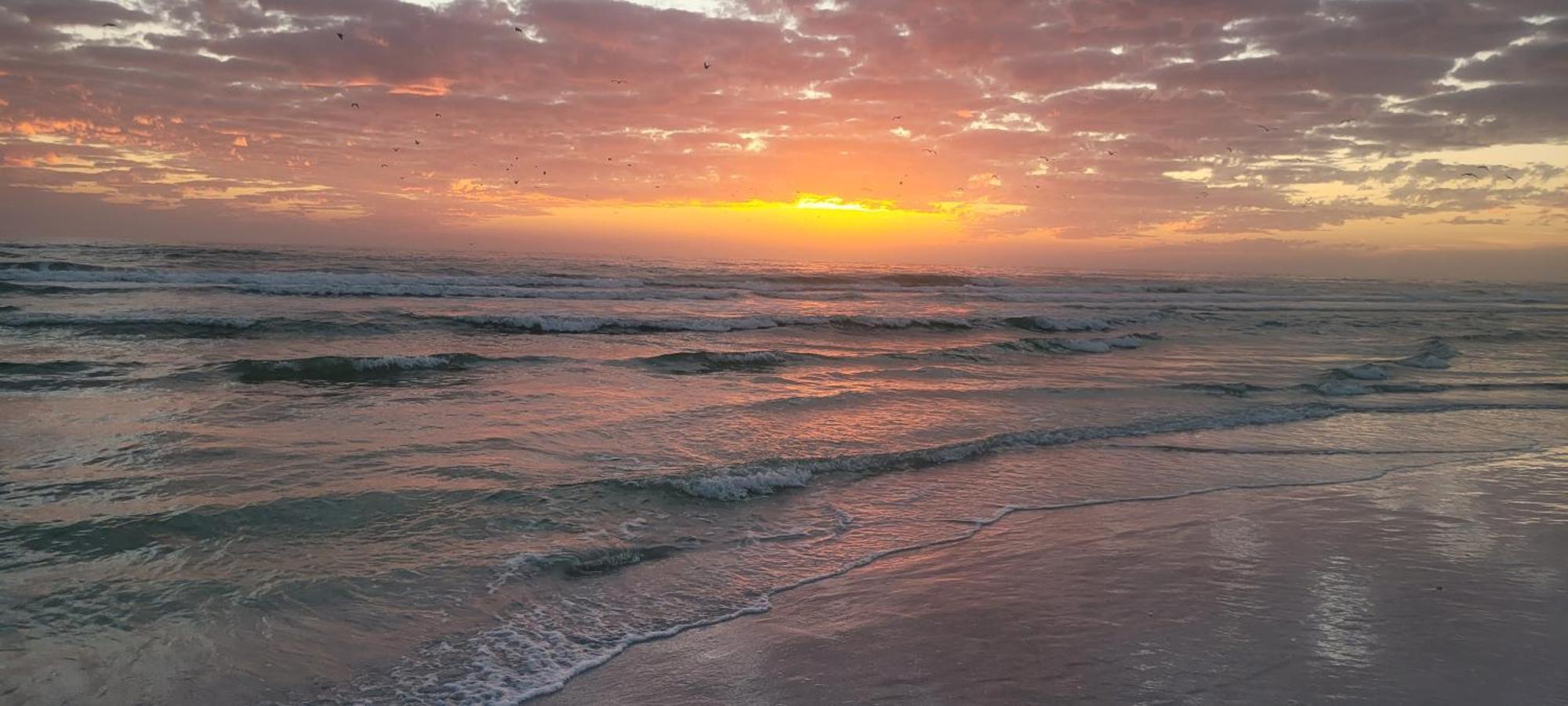 Siesta Key Condo - On The Water ! ภายนอก รูปภาพ